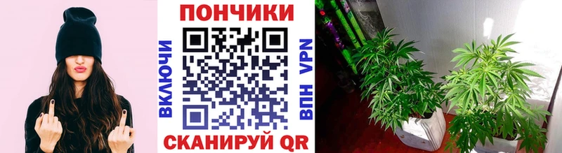 Как найти закладки Россошь А ПВП Кокаин Мефедрон МАРИХУАНА