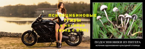 круглые Пестово