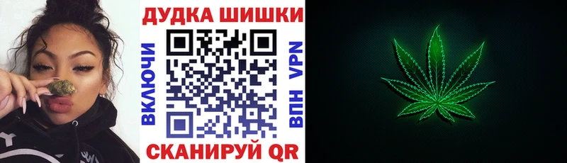 Бошки Шишки планчик  Россошь 